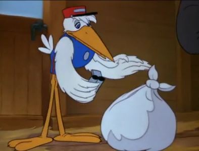 MrStork